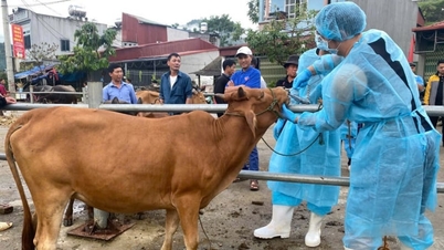 Urmărirea virusului SAT1 de pe piața de animale