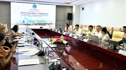 Da Nang podporuje spolupráci s odborníky z Cambridgeské univerzity.