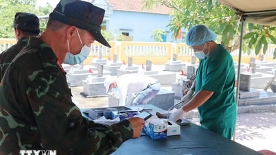 La province de Quang Ngai a prélevé des échantillons sur plus de 13 000 tombes de martyrs et a recueilli des échantillons d'ADN auprès de leurs proches.