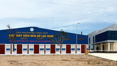 Bac Ninh : 50 des 99 communes et quartiers ont terminé le traitement des rapports sur place.