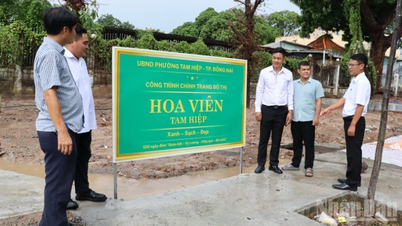 Người dân Đồng Nai chung tay làm đẹp phố phường