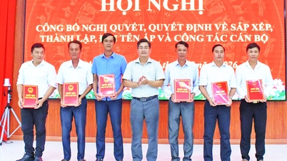 Penyusunan semula komune Vinh Thuan kini meninggalkannya dengan 11 buah dusun.