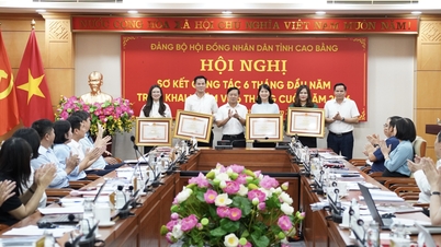 Výbor strany Provinční lidové rady hodnotí svou práci za prvních šest měsíců roku 2026 - Cao Bang Online Newspaper