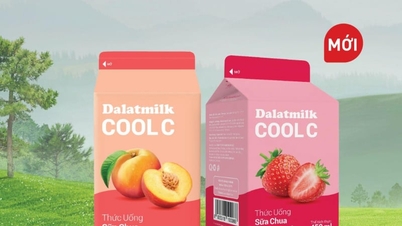 Stay refreshed every day with Dalatmilk Cool C Peach Fermented Yogurt Drink.