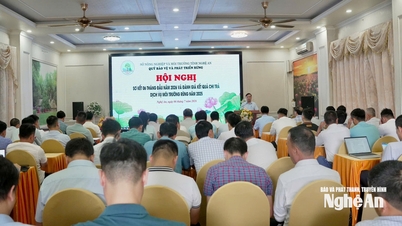Fond ochrany a rozvoje lesů Nghe An plní své úkoly za posledních šest měsíců roku 2026.