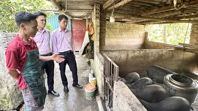 Preferential loans create sustainable livelihoods in mountainous areas.