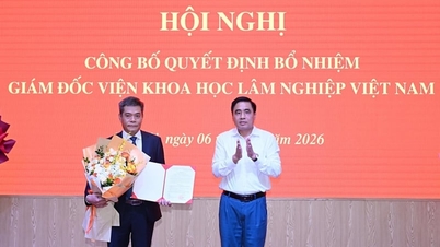 Docent Dr. Phi Hong Hai är chef för Vietnam Forestry Science Institute.