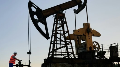 "LNG کارڈ" US-EU تجارتی کھیل میں وزن کم کر رہا ہے۔