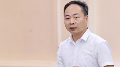 پروفیسر ڈاکٹر Nguyen Ngoc Ha کو ہنوئی پیڈاگوجیکل یونیورسٹی کا وائس ریکٹر مقرر کیا گیا