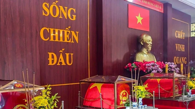 Tiếp cận người thân Liệt sĩ Huỳnh Văn Quên để đối chiếu thông tin