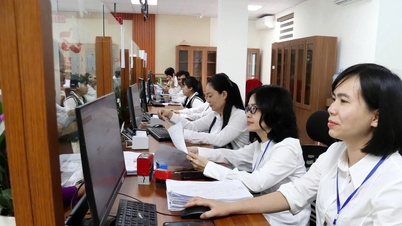 Chuyên gia giỏi, doanh nhân tiêu biểu được xét tiếp nhận thẳng vào viên chức