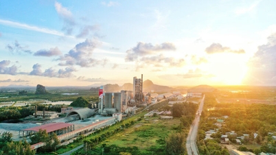INSEE Việt Nam tham gia sàn giao dịch carbon việt nam, khẳng định cam kết tiên phong trong hành trình giảm phát thải