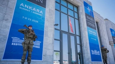 Sidang Kemuncak NATO di Ankara: Jangkaan untuk Bab Baharu dalam Perikatan dan Peluang untuk Türkiye