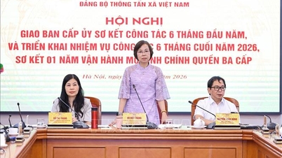 Vietnam Haber Ajansı Parti Komitesi, 2026 yılının son altı ayına ilişkin görevleri özetledi.