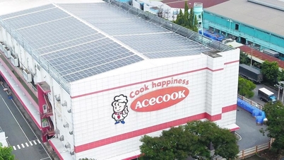 Acecook Vietnam: Tres décadas de desarrollo sostenible constante, trabajando juntos por un planeta verde.
