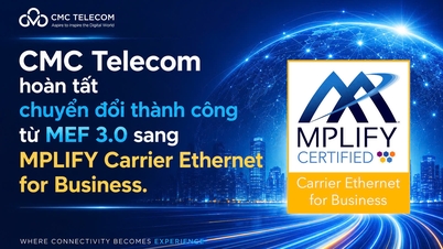 CMC Telecom completa la transición de MEF 3.0 a MPLIFY Carrier Ethernet para empresas.