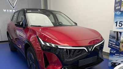 VinFast birçok otomobil ve elektrikli motosiklet modelinin fiyatlarını düzenliyor.