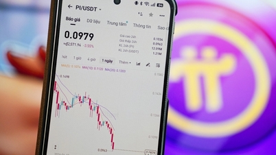 Harga Pi Network jatuh ke paras terendah.