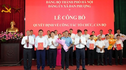 Dan Phuong commune (formerly part of Dan Phuong district) now has only 12 villages after successful reorganization and merger.