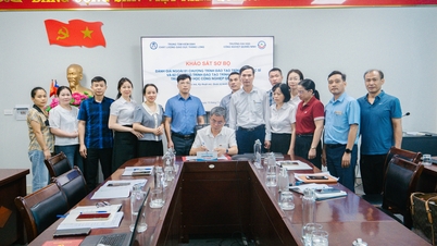 Universitatea de Industrie Quang Ninh desfășoară un sondaj preliminar pentru a sprijini evaluarea externă a 3 programe de formare.