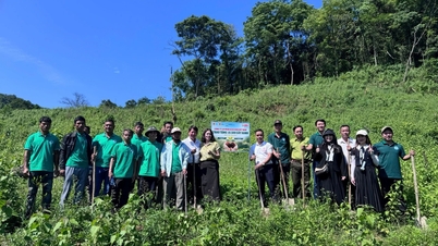 Acecook Vietnam: El desarrollo sostenible también es una responsabilidad con el medio ambiente y la comunidad.