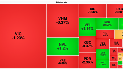 Fastighetsaktierna rasade, VN-Index tappade nästan 13 poäng.