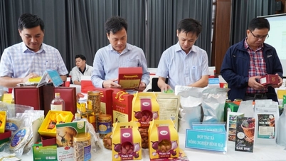 Quang Ngai padroniza os procedimentos para avaliação dos produtos OCOP.