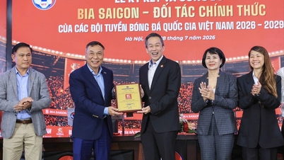 베트남 축구 연맹(VFF)과 사베코(SABECO)의 전략적 파트너십: 베트남 축구의 새로운 도약을 위한 기반 마련