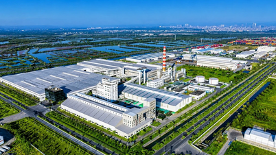 Direktif 10 sonrası çatı üstü güneş enerjisi: Doğrudan yabancı sermayeyi çeken yeni bir 'mıknatıs'.