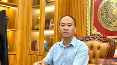 Bac Ninh: Tarım ürünleri tüketimini teşvik etmede tedarik zincirlerinin birbirine bağlanması.