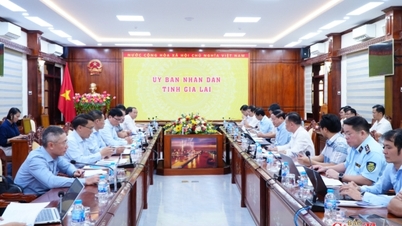 Tỉnh Gia Lai và Petrolimex bàn giải pháp bảo đảm nguồn cung xăng dầu