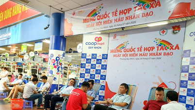 Nhân viên và khách hàng Siêu thị Co.opmart Quy Nhơn hiến máu nhân đạo