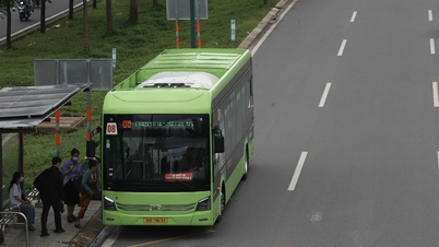 Sau 8,5 triệu lượt khách đi miễn vé, TPHCM tính mở làn riêng cho xe buýt