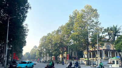 Dự báo thời tiết ngày 31/7: Miền Bắc dịu mát, mưa dông rải rác