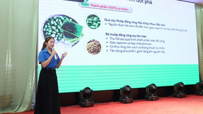 Bán kết cuộc thi “Dự án khởi nghiệp thanh niên nông thôn” khu vực miền Bắc