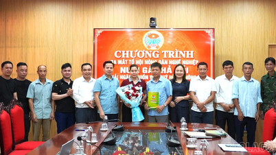 Võ Lao ra mắt mô hình chăn nuôi gà thả vườn, giải ngân 1 tỷ đồng Quỹ Hỗ trợ nông dân