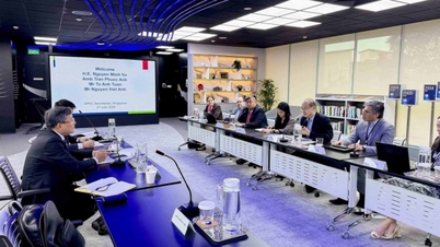 Thứ trưởng Nguyễn Minh Vũ làm việc với Ban Thư ký APEC quốc tế về APEC 2027