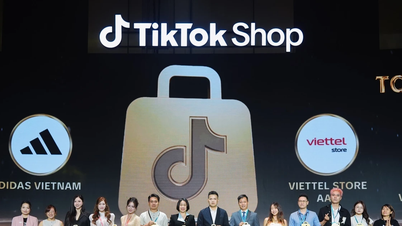Viettel Store, TikTok Shop Summit Vietnam 2026'da 'En İyi Satıcı' ödülüne layık görüldü.