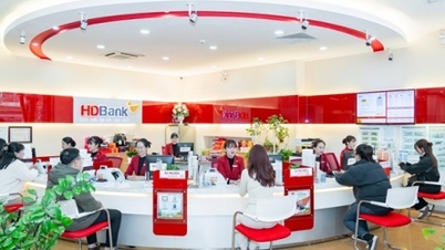 HDBank propone un reparto de dividendos del 25% y una colocación privada de 700 millones de acciones.