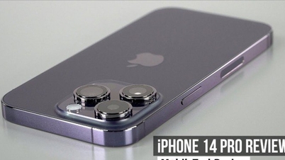 ទូរស័ព្ទ iPhone មួយទឹកកំពូលទាំង 3 ដែលមានតម្លៃចន្លោះពី 9 ទៅ 11 លានដុង មានដំណើរការខ្លាំង និងភាពធន់ល្អឥតខ្ចោះ។
