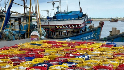Os pescadores da província de Lam Dong desfrutam de uma próspera temporada de pesca no sul do país.