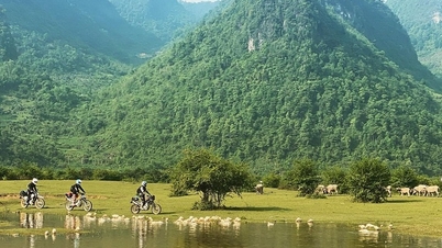 Điểm Du Lịch Bãi Tình - Cao Bằng: Vẻ Đẹp Hoang Sơ và Huyền Bí