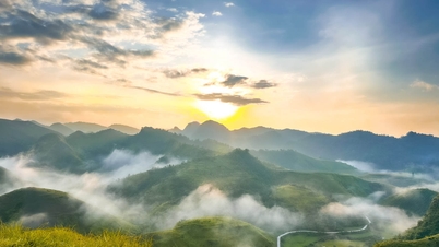 Đồi Cỏ Ba Quáng - Cao Bằng: Vẻ Đẹp Hoang Sơ Giữa Núi Rừng