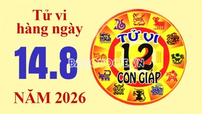 Today's horoscope, see the horoscope for the 12 zodiac signs today, August 14, 2026: Ox sign will see financial growth.