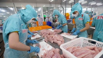 ISO 9001 - nền tảng quản lý chất lượng, nâng cao năng lực cạnh tranh cho doanh nghiệp