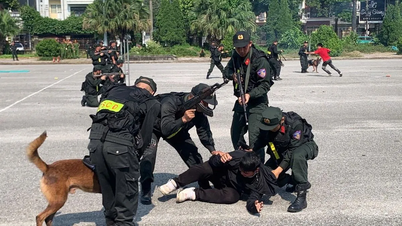 Tôi luyện bản lĩnh trên thao trường