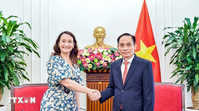 Vietnam en Uruguay versterken hun samenwerking en verdiepen hun relatie.
