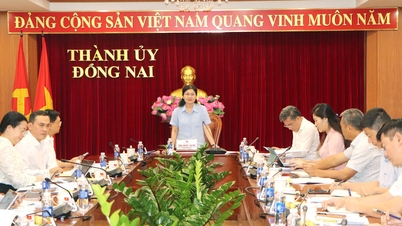 Monitoring and expediting the progress of key projects in several communes and wards.