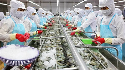 De Zuid-Amerikaanse markt biedt nog volop ruimte voor Vietnamese producten.