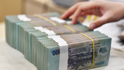 Het bedrijf heeft een schuld van meer dan 1,1 miljard VND voor diervoeding, maar heeft slechts 50 miljoen VND kunnen betalen.